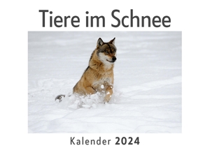 Müller, Anna. Tiere im Schnee (Wandkalender 2024, Kalender DIN A4 quer, Monatskalender im Querformat mit Kalendarium, Das perfekte Geschenk). 27amigos, 2023.