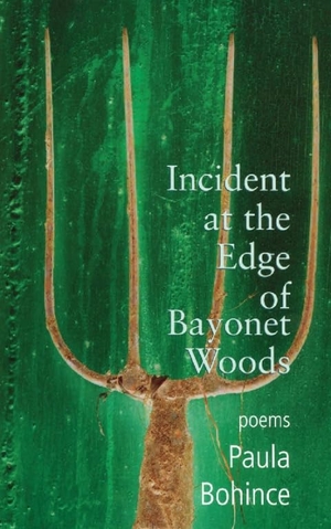 Bohince, Paula. Incident at the Edge of Bayonet Woods. Sarabande Books, 2008.