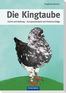 Die Kingtaube