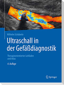 Ultraschall in der Gefäßdiagnostik