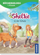 Sheltie, Bücherhelden 1. Klasse, Sheltie in der Schule