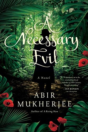 Mukherjee, Abir. Necessary Evil. Pegasus Books, 2019.