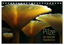 Pilze - die Stars der Waldbühne (Tischkalender 2024 DIN A5 quer), CALVENDO Monatskalender