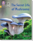 The Secret Life of Mushrooms