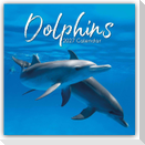 Dolphins - Delfine - Delphine 2027 - 16-Monatskalender