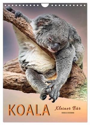 Roder, Peter. Koala, kleiner Bär (Wandkalender 2024 DIN A4 hoch), CALVENDO Monatskalender - Koalas - süße kleine Teddybären.. Calvendo, 2023.
