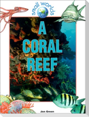 A Coral Reef