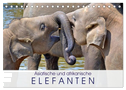 Asiatische und afrikanische Elefanten (Tischkalender 2024 DIN A5 quer), CALVENDO Monatskalender