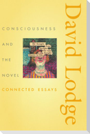 Consciousness and the Novel
