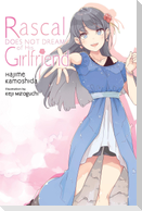 Rascal Does Not Dream of His Girlfriend (Light Novel)