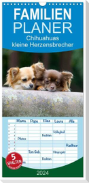Familienplaner 2024 - Chihuahuas - kleine Herzensbrecher mit 5 Spalten (Wandkalender, 21 x 45 cm) CALVENDO