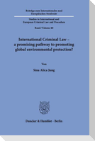 International Criminal Law - a promising pathway to promoting global environmental protection?