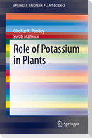 Role of Potassium in Plants