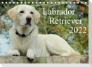 Labrador Retriever 2022 (Tischkalender 2022 DIN A5 quer)