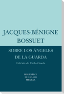 Sobre los ángeles de la guarda