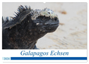 Galapagos Echsen (Wandkalender 2024 DIN A2 quer), CALVENDO Monatskalender