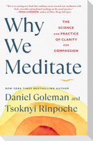 Why We Meditate