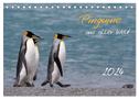 Pinguine aus aller Welt (Tischkalender 2024 DIN A5 quer), CALVENDO Monatskalender