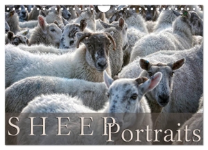 Cross, Martina. Sheep Portraits (Wall Calendar 2024 DIN A4 landscape), CALVENDO 12 Month Wall Calendar - Discover 12 beautiful portraits of sheep in the countryside. Calvendo, 2023.