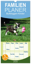 Familienplaner 2025 - Bulldoggen-Kinder mit 5 Spalten (Wandkalender, 21 x 45 cm) CALVENDO