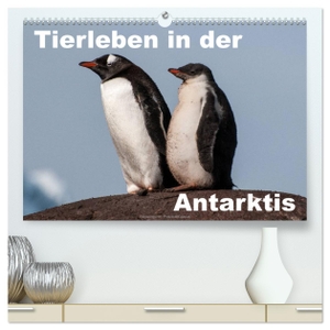 Wöhlke, Jürgen. Tierleben in der Antarktis (hochwertiger Premium Wandkalender 2024 DIN A2 quer), Kunstdruck in Hochglanz - Pinguine, Robben und Wale in der Eiswelt. Calvendo Verlag, 2023.