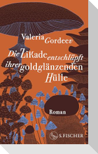 Die Zikade entschlüpft ihrer goldglänzenden Hülle