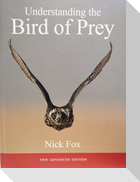 Understanding the Bird of Prey- Advanced Edition