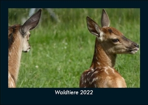 Tobias Becker. Waldtiere 2022 Fotokalender DIN A5 - Monatskalender mit Bild-Motiven von Haustieren, Bauernhof, wilden Tieren und Raubtieren. Vero Kalender, 2021.