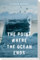 The Point Where The Ocean Ends