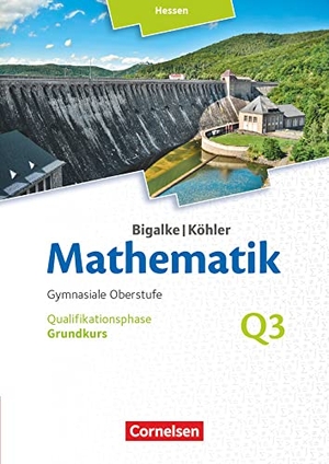 Bigalke, Anton / Kuschnerow, Horst et al. Bigalke/Köhler: Mathematik Grundkurs 3. Halbjahr - Hessen - Band Q3 - Schülerbuch. Cornelsen Verlag GmbH, 2018.