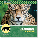Jaguars in the Wild