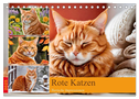 Rote Katzen (Tischkalender 2025 DIN A5 quer), CALVENDO Monatskalender