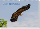 Vögel des Pantanal (Wandkalender 2022 DIN A3 quer)