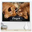 Ziegen. Lustige Ausbruchskünstler (hochwertiger Premium Wandkalender 2024 DIN A2 quer), Kunstdruck in Hochglanz