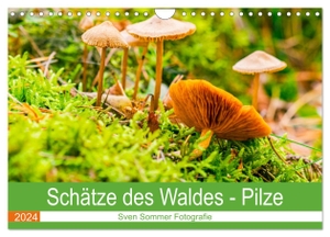 Sommer Fotografie, Sven. Schätze des Waldes - Pilze (Wandkalender 2024 DIN A4 quer), CALVENDO Monatskalender - Fungi, die wahren Helden im Forst. Calvendo, 2023.