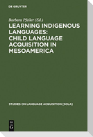 Learning Indigenous Languages: Child Language Acquisition in Mesoamerica
