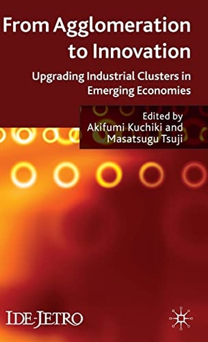 Kuchiki, A. / M. Tsuji (Hrsg.). From Agglomeration to Innovation - Upgrading Industrial Clusters in Emerging Economies. Springer Nature Singapore, 2009.