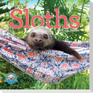 Original Sloths Wall Calendar 2026