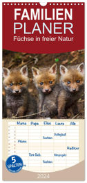 Familienplaner 2024 - Füchse in freier Natur mit 5 Spalten (Wandkalender, 21 x 45 cm) CALVENDO