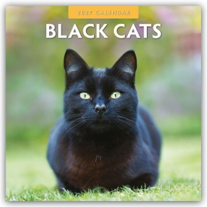Red, Robin. Black Cats - Schwarze Katzen 2027 - 16-Monatskalender - Original Red Robin Publishing Ltd-Kalender [Mehrsprachig] [Kalender]. Browntrout Verlags GmbH, 2026.