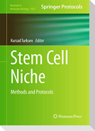 Stem Cell Niche