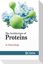 The Architecture of Proteins