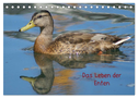 Das Leben der Enten (Tischkalender 2024 DIN A5 quer), CALVENDO Monatskalender