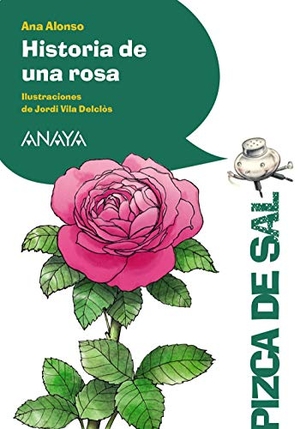 Vila Delclòs, Jordi / Ana Alonso. Historia de una rosa. ANAYA INFANTIL Y JUVENIL, 2020.