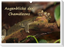 Augenblicke der Chamäleons (Wandkalender 2024 DIN A3 quer), CALVENDO Monatskalender