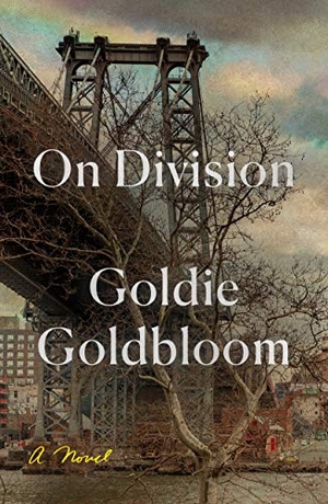 Goldbloom, Goldie. On Division. Farrar, Straus and Giroux (Byr), 2019.