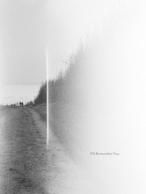 Jonas Dahlström - I'll Remember You. Kerber Christof Verlag, 2025.