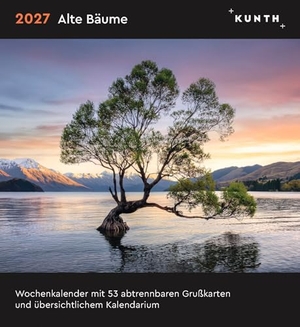 Alte Bäume - KUNTH Postkartenkalender 2027 - Hochwertiger Tischkalender mit 53 traumhaften Grußkarten (auch zum Aufhängen). Kunth GmbH Kalender, 2026.