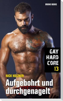 Gay Hardcore 13: Aufgebohrt und durchgenagelt