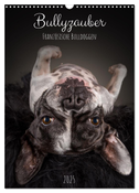 Bullyzauber - Französische Bulldoggen (Wandkalender 2025 DIN A3 hoch), CALVENDO Monatskalender
